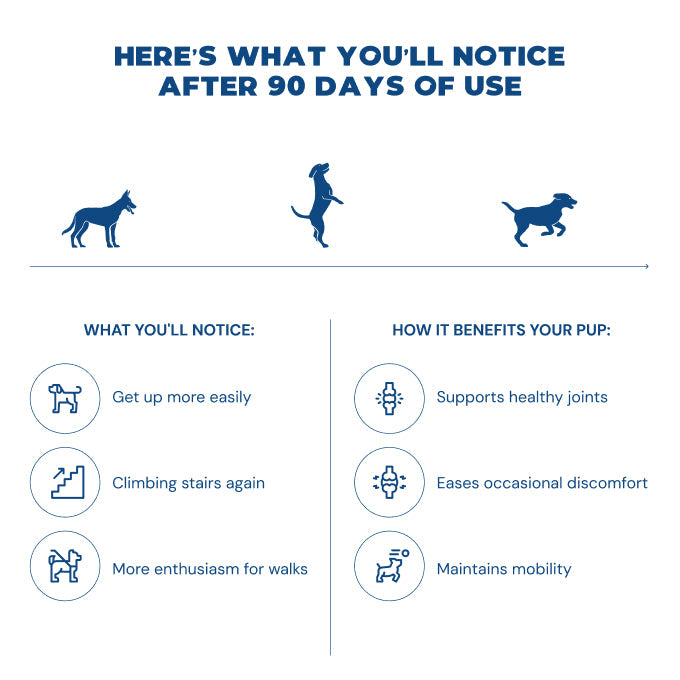 Jope Hip & Joint Dog Chews - 60 Count
